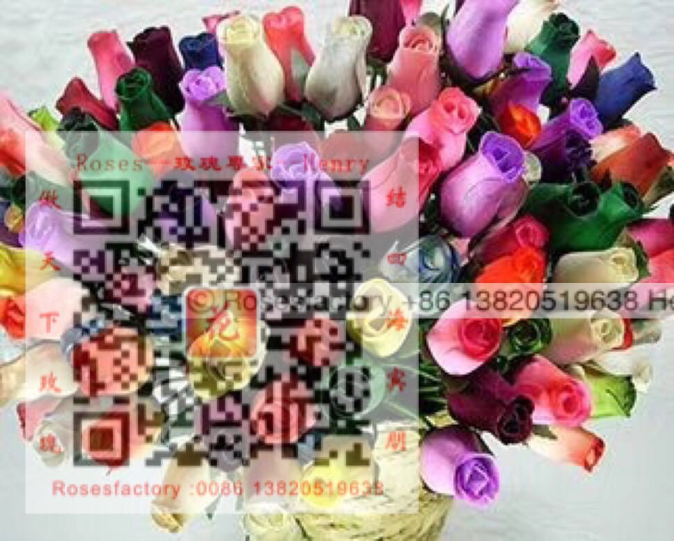 Henry wooden roses Shows